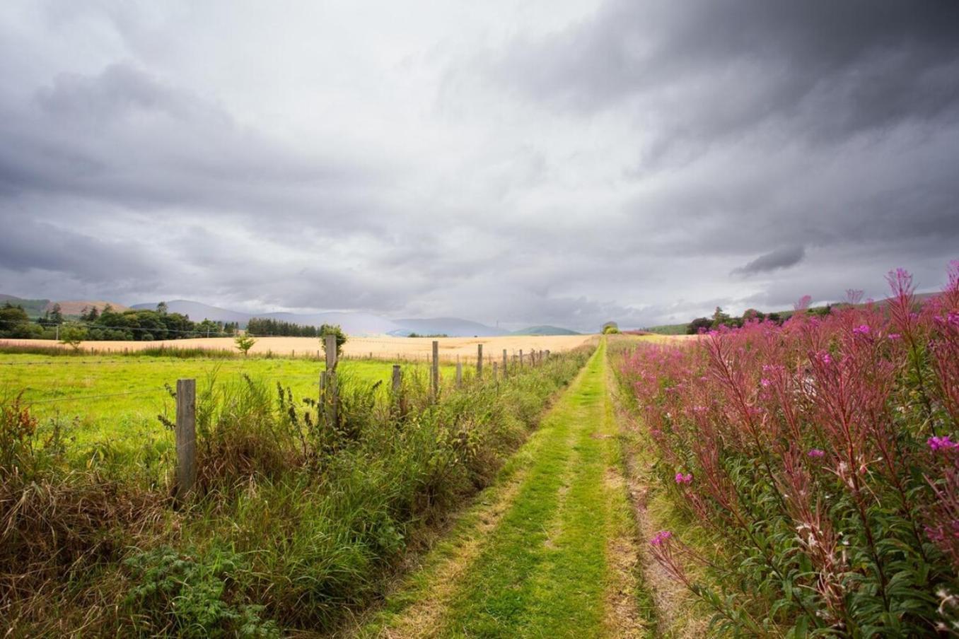 Mike'S 3-Bedroom Countryside Cottage Alness Exteriér fotografie