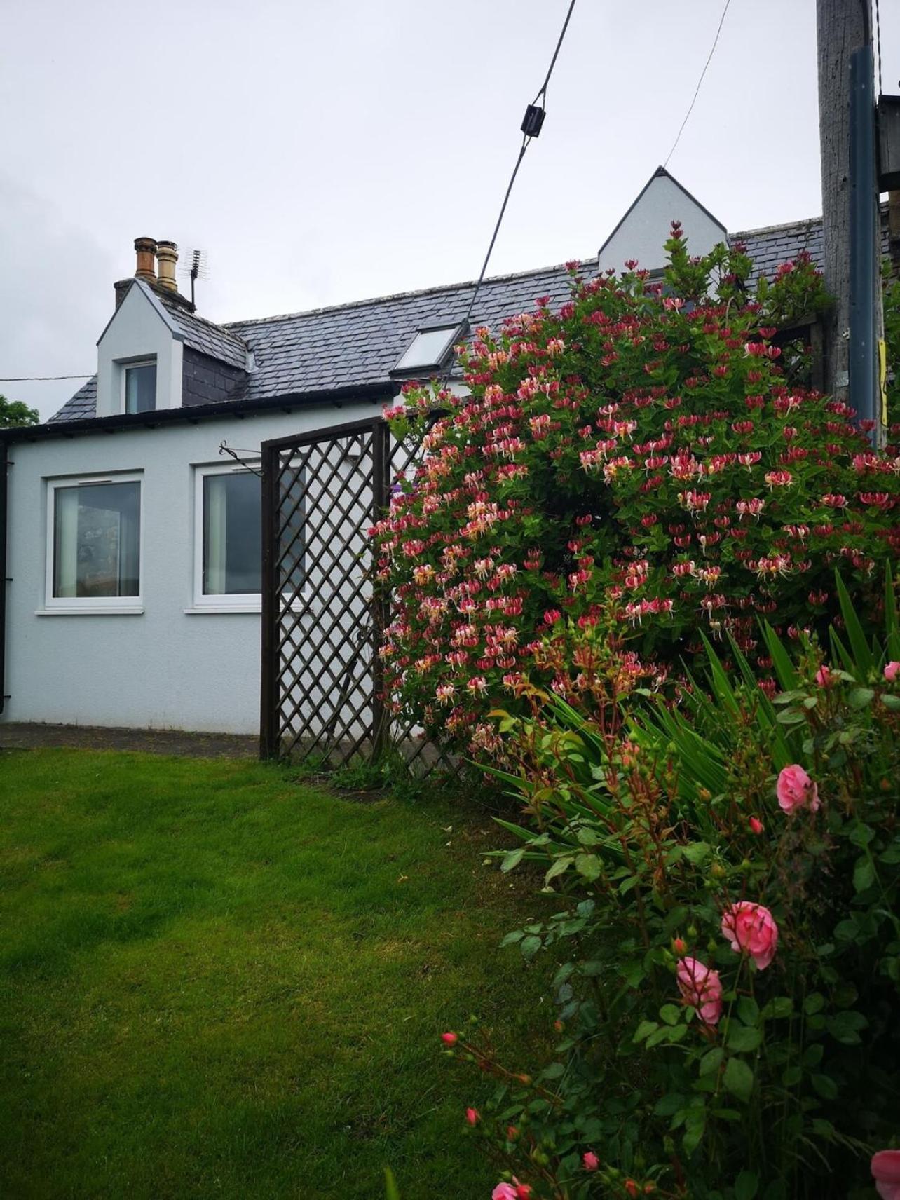 Mike'S 3-Bedroom Countryside Cottage Alness Exteriér fotografie